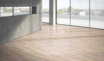 Parador Basic Plus 200 1426399 Ясень Шлифованный фото 2 | FLOORDEALER